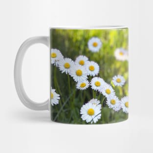 Daisies in Half Shade Mug